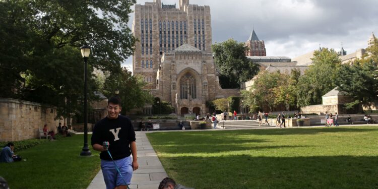 Más universidades cerrarán en 2025, mientras que las escuelas ‘Ivy Plus’ prosperan