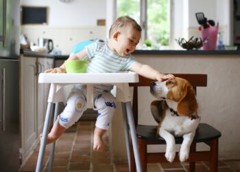 Se proyecta que el gasto federal disminuirá en $230 por niño en 2024: informe