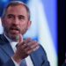 EE.UU. será “más pro-cripto” después de las elecciones, sin importar quién gane: CEO de Ripple