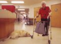 ¿Ampliaremos algún día Medicare para cubrir la atención domiciliaria de las personas mayores?