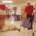 ¿Ampliaremos algún día Medicare para cubrir la atención domiciliaria de las personas mayores?