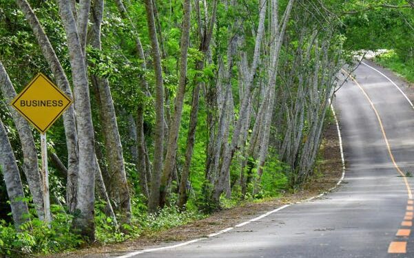 ¿Puede la planificación financiera realmente cambiar la vida?