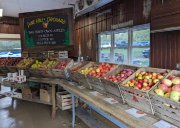 Festividades de otoño, cosas que no te puedes perder en Milwaukee esta temporada