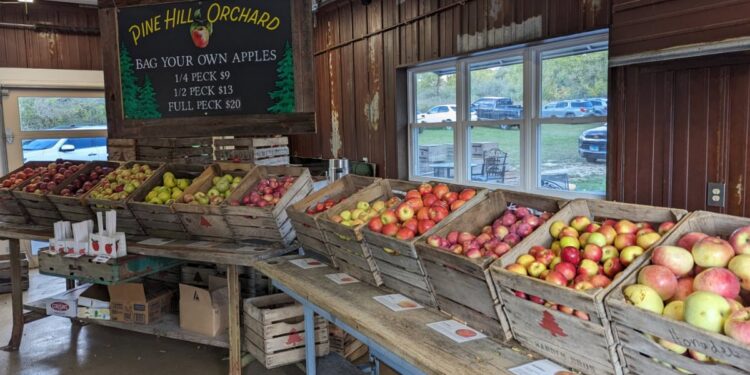 Festividades de otoño, cosas que no te puedes perder en Milwaukee esta temporada