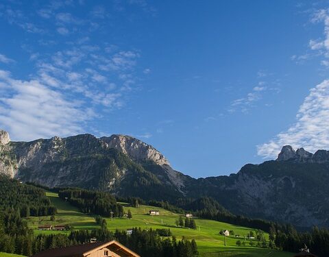 Pensiones frente a 401(k): comprender las diferencias clave – FinanceBUM