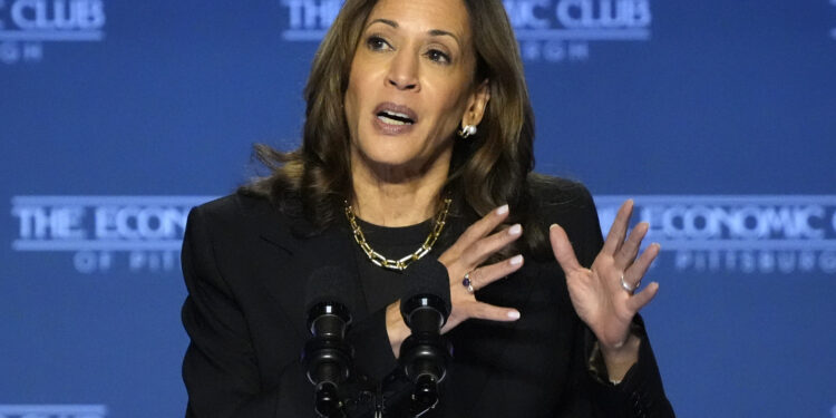 Nuevo impulso para pequeñas empresas de Harris: reglas más fáciles para préstamos