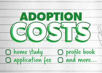 ¿Cuánto cuesta adoptar un niño?