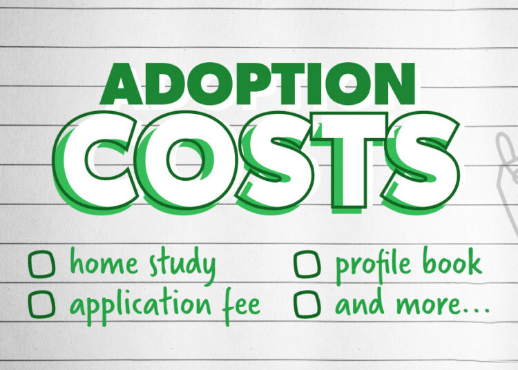 ¿Cuánto cuesta adoptar un niño?