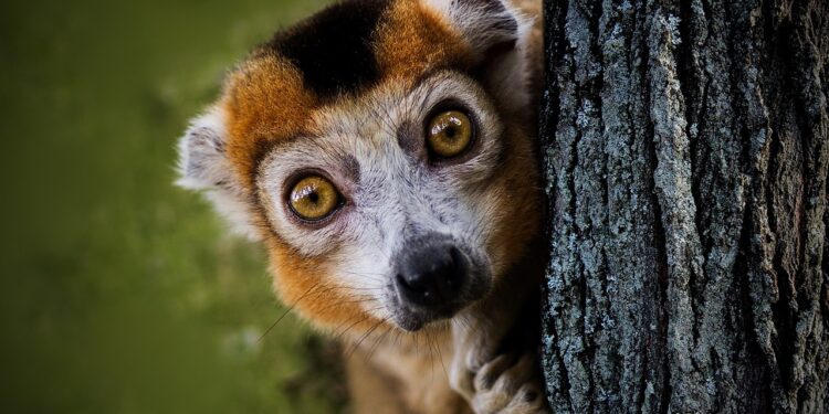 La curiosa incapacidad de gastar dinero en uno mismo