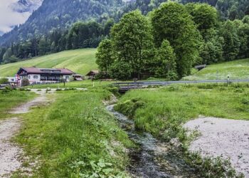 Desempacar las pensiones: comprender su seguridad financiera futura – FinanceBUM