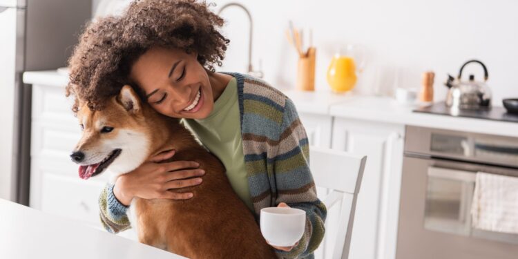 ¿Tienes una buena historia sobre tu gato o perro? Podrías ganar $250 por compartirlo