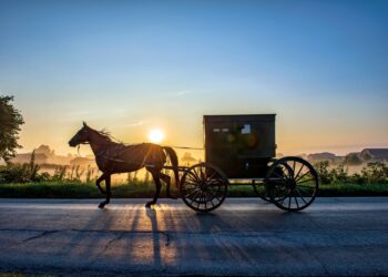 Diez cosas que todos podríamos aprender sobre el dinero de los Amish