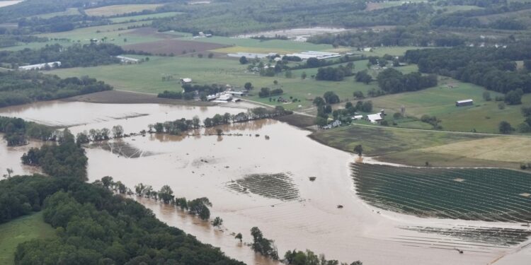 El huracán Helene dejó a los trabajadores agrícolas latinos sintiéndose aislados: NPR
