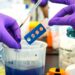 Las principales acciones de biotecnología seleccionadas por JPMorgan para 2025 mientras el sector busca un año de recuperación