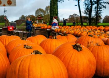 Inflación de la zona euro, octubre de 2024