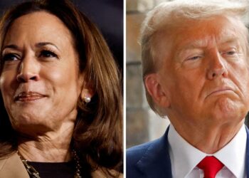 ¿Género? ¿Economía? Los expertos analizan lo que podría cambiar la carrera presidencial