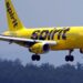 Spirit Airlines se declara en quiebra a medida que se acumulan las pérdidas financieras y se avecinan los pagos de la deuda