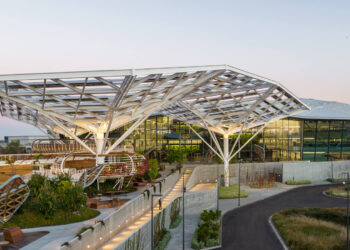 Entendiendo los mercados esta semana: 24 de noviembre de 2024