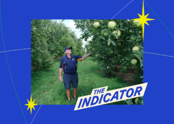 El indicador de Planet Money: NPR