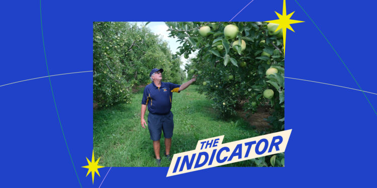 El indicador de Planet Money: NPR