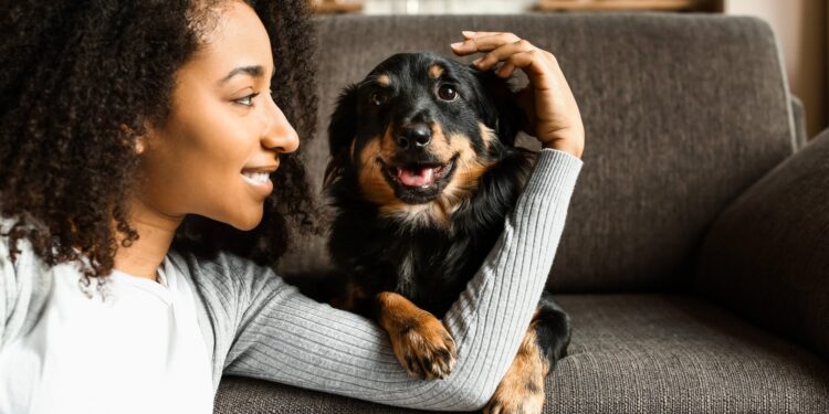 Dentro de la mente del inquilino de la casa: una encuesta revela necesidades y elementos imprescindibles