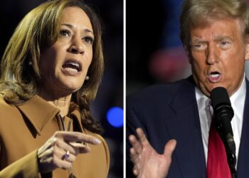 Votantes de estados indecisos; economía estadounidense; Harris y Trump: NPR