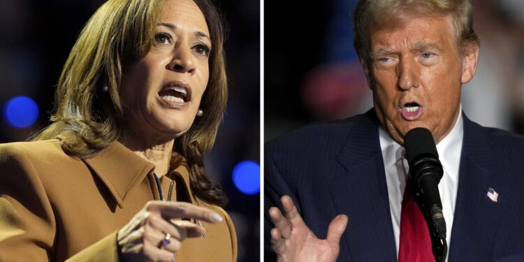 Votantes de estados indecisos; economía estadounidense; Harris y Trump: NPR