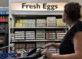 Por qué los precios de los huevos pronto podrían “coquetear con niveles récord”: proveedor