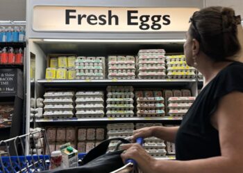 Por qué los precios de los huevos pronto podrían “coquetear con niveles récord”: proveedor
