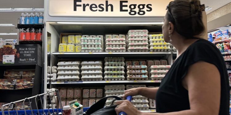 Por qué los precios de los huevos pronto podrían “coquetear con niveles récord”: proveedor