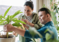 Mitos del RDSP, explicados – MoneySense