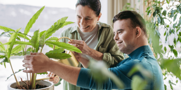 Mitos del RDSP, explicados – MoneySense