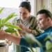 Mitos del RDSP, explicados – MoneySense