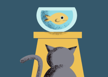 Obtenga ingresos activos para sus deseos, utilice ingresos pasivos para sus necesidades