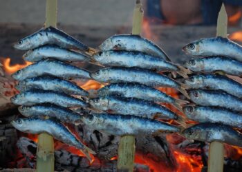 Me rebajaron a clase económica y me sentí fantástico