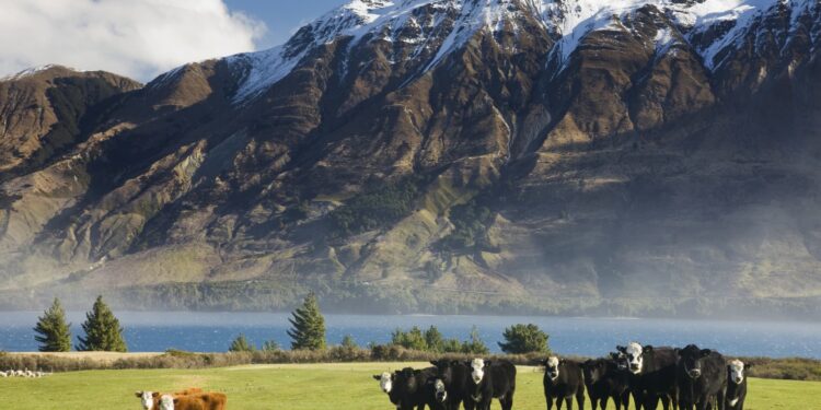 Nueva Zelanda firma acuerdo comercial con los Emiratos Árabes Unidos