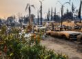 Las víctimas de los incendios forestales de California pueden calificar para un pago único de $770 de FEMA