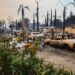 Las víctimas de los incendios forestales de California pueden calificar para un pago único de $770 de FEMA