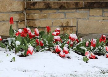 ¿Ha comenzado ya la demanda de vivienda en primavera?