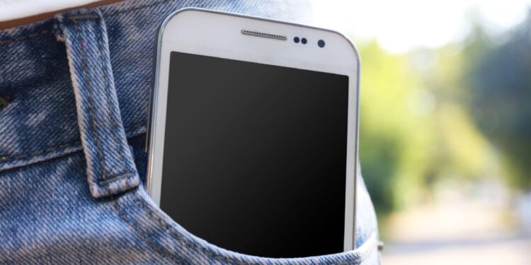 Una guía completa para comprender los listados de bolsillo