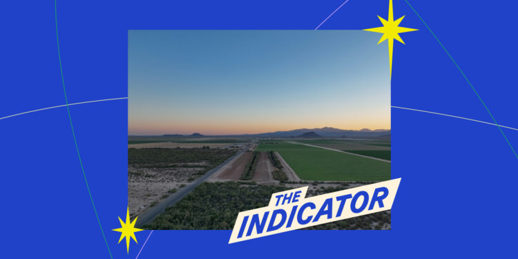 El indicador de Planet Money: NPR