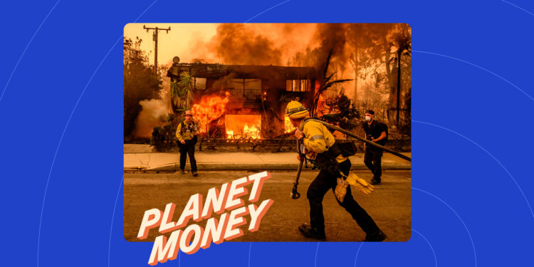 ¿Puede Los Ángeles reconstruirse después de que los incendios destruyeran Altadena y Pacific Palisades? : Planeta Dinero : NPR