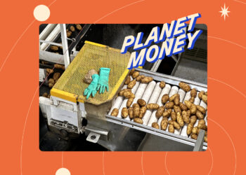 El vacío legal comercial que impidió que las patatas estadounidenses llegaran a México : Planet Money : NPR