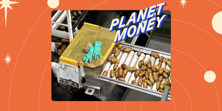 El vacío legal comercial que impidió que las patatas estadounidenses llegaran a México : Planet Money : NPR