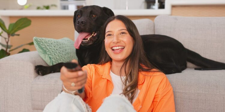 Cómo ver el tazón de cachorros de este año antes del gran juego