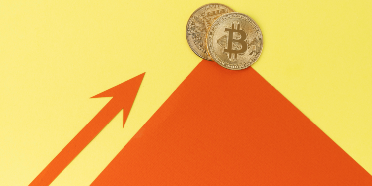 ¿Bitcoin colapsará en 2025?