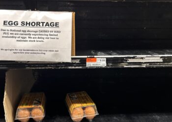 Los precios al por mayor de los huevos han ‘superado’ récord previo