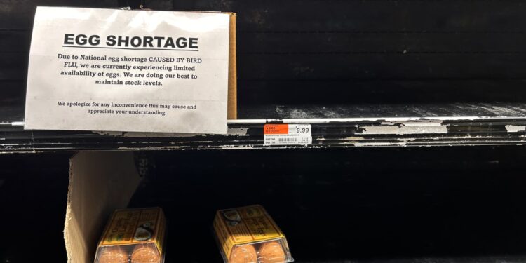 Los precios al por mayor de los huevos han ‘superado’ récord previo