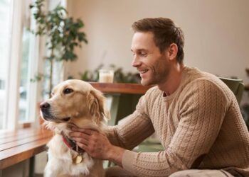 Cómo usar retiros FHSA y RRSP para un pago inicial de una casa en Canadá