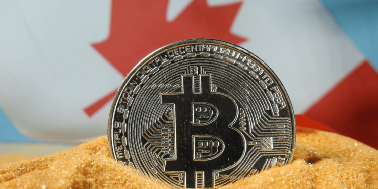 Bitcoin o Ethereum: ¿Cuál es la mejor criptografía para comprar en 2025?